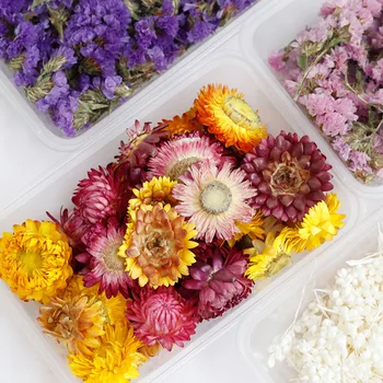1 Polje Naravnih Pravi Posušene Rože, Umetne Rastline za Sveče Plesni Epoksi Smolo DIY Kar Dekoracijo Doma Dodatki Obrti