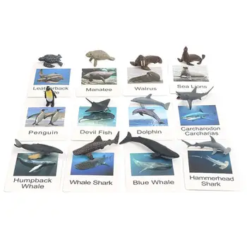 Živalskih Modelih Ujemanje Kartice, Živali Slike Na Pomnilniško Kartico Morskih Živali Ujemanje Kartice Montessori Jezik Učni Material